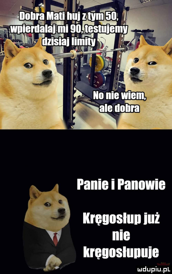 ft kręgnslull iuż v  nie kręgusłunuie