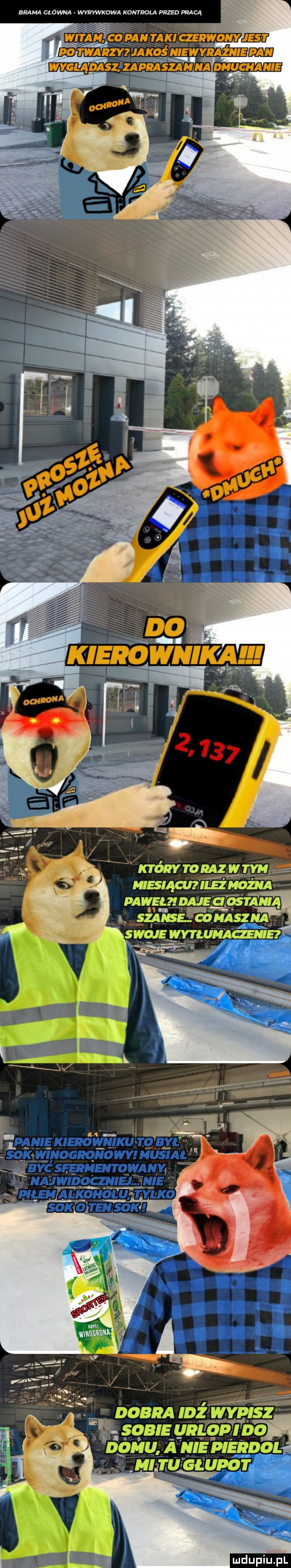 mam mam wvnvwkowa kontrola przed mą