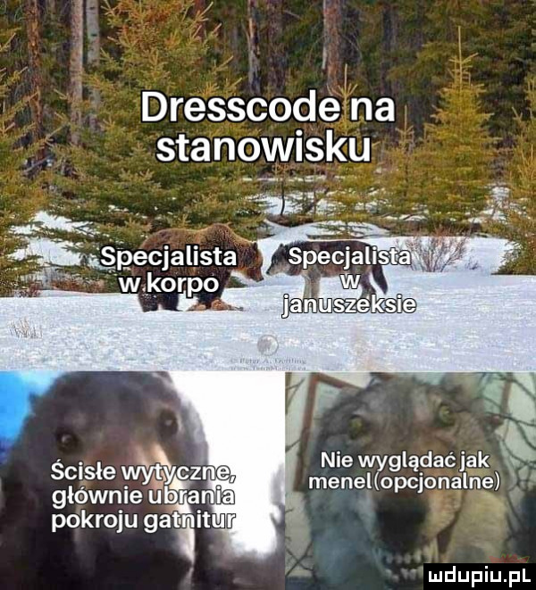 dresscoge na stanow siu nie wyglądać jak menel opcjonalne pokroju gatimuﬁ