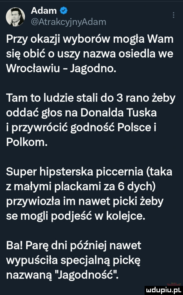 adam   atrakcyjnyadam przy okazji wyborów mogła wam się obić o uszy nazwa osiedla we wrocławiu jagodno. tam to indzie stali do   rano żeby oddać głos na donalda tuska i przywrócić godność polsce i polkom. super hipsterska piccernia taka z małymi plackami za   dych przywiozła im nawet packi żeby se mogli podjeść w kolejce. ba parę dni później nawet wypuściła specjalną packę nazwaną jagodność