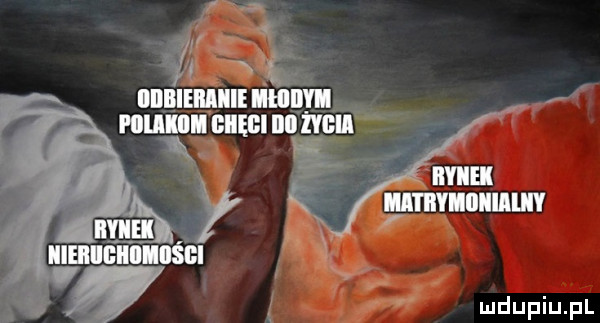 an iiibieiiiiiemiwi nmuplmlnimf