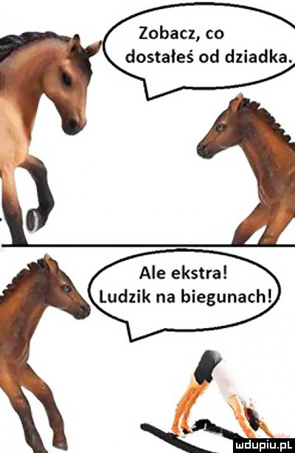 zobacz co dostałeś od dziadka. ale ekstra ludzik na biegunach