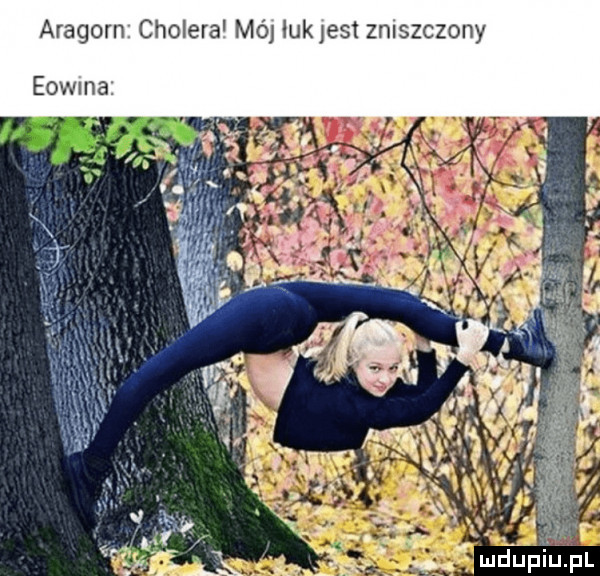 aragorn choleral md lukjest ziszczony