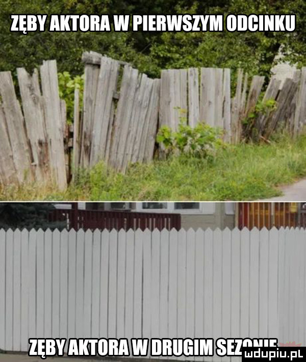 zghv nlqunnyg rlinwwmnćiimu