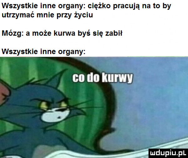 wszystkie nie organy ciężko pracują na to by utrzymać mnie przy życiu mózg a może kurwa byś się zabił wszystkie inne organy    iii ilii wv