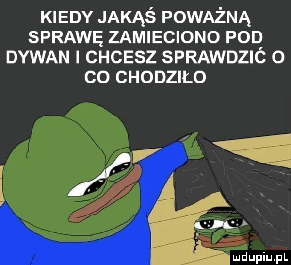 kiedy jakąś poważną sprawę zamieciono pbq dywan chcesz sprawdzic   co chodziło