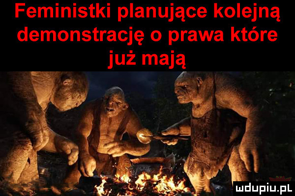 feministki planujące kolejną demonstrację o prawa które już mają i i