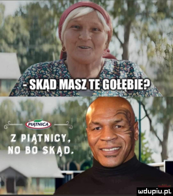 Obrazek