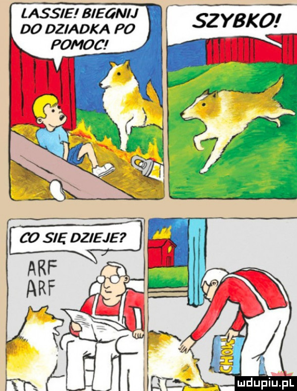 szybko lassie biegnij dd dziadka p  pomoc