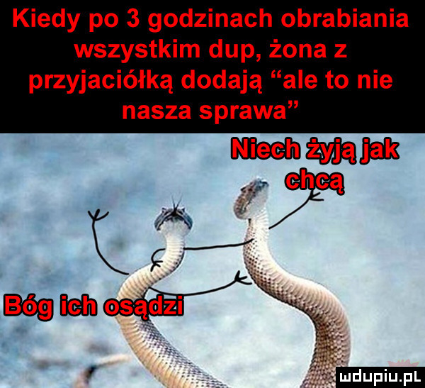 kiedy po   godzinach obrabiania wszystkim dup żona z przyjaciółką dodają ale to nie nasza sprawa