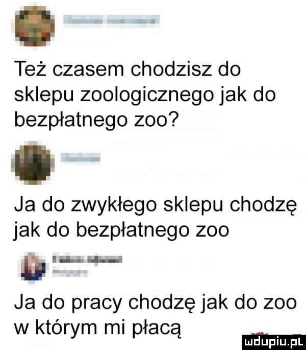 też czasem chodzisz do sklepu zoologicznego jak do bezpłatnego zoo ja do zwykłego sklepu chodzę jak do bezpłatnego zoo iii h ja do pracy chodzę jak do zoo w ktorym ml płacą dugi pl