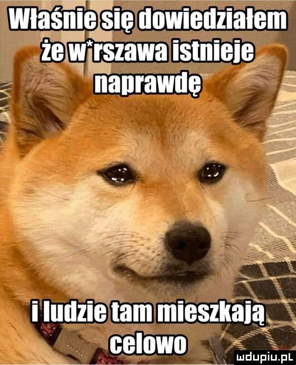 Obrazek