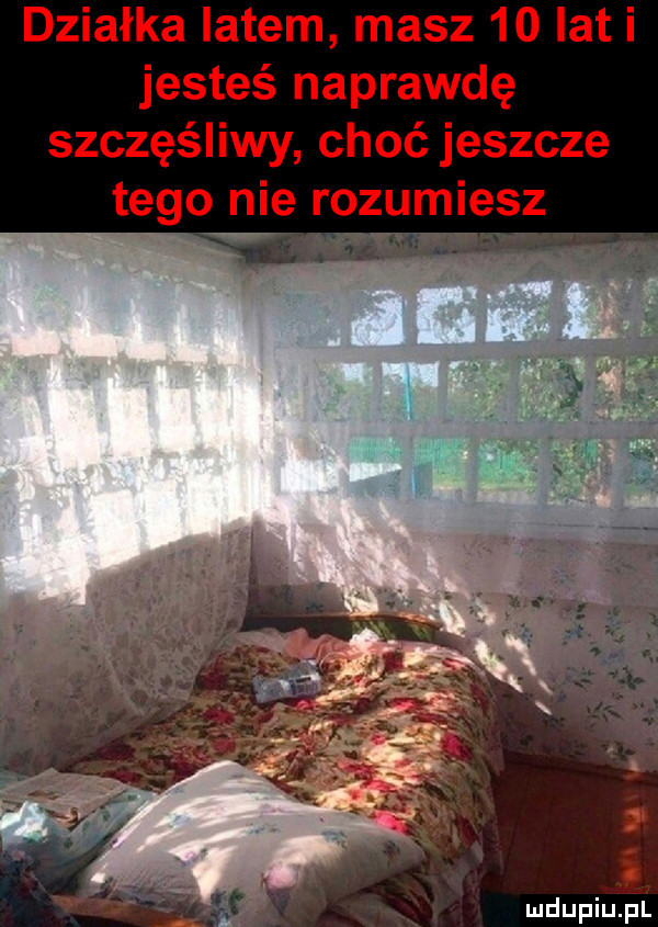 działka latem masz    lat i jesteś naprawdę szczęśliwy choć jeszcze tego nie rozumiesz
