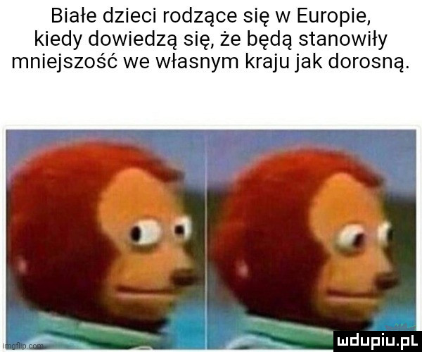 białe dzieci rodzące się w europie kiedy dowiedzą się że będą stanowiły mniejszość we własnym kraju jak dorosną. nx mdupiu ii