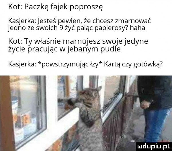 kot paczkę fajek poproszę kasjerkazjesteś pewien że chcesz zmarnować jedno ze swoich   żyć paląc papierosy haba kot ty właśnie marnujesz swojejedyne życie pracując wjebanym pudle kasjerka powstrzymując łzy kartą czy gotówką