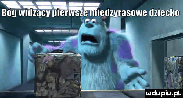 buu wnlzącv merwsze lęnzurasowe illecko t f     war h x. a