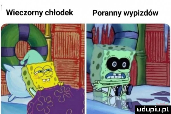 wieczorny chłodek poranny wypizdów