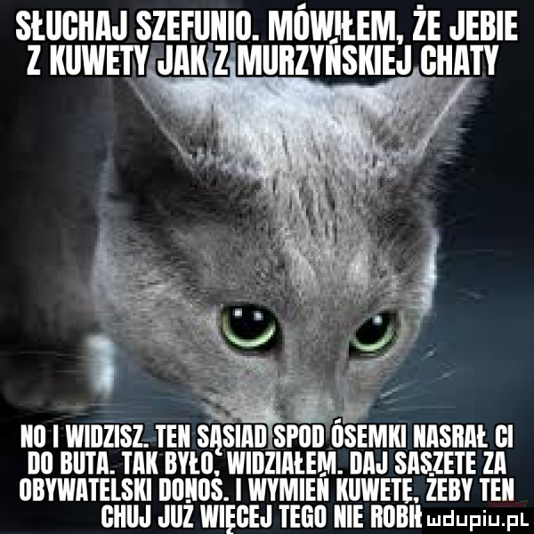 słuchaj szeeiiiiib. mbmilem że jebie z kllweiyfjakz mubzyiiskiej chi iii widzisz. teki sąsiab spbb dsemki iiasbm gi bb nam. tak było. wibzimem. bn siszete za bbywatelski news. l wymieli kuwete. zeby teki gaili l juz więcej tegi icie bbbił