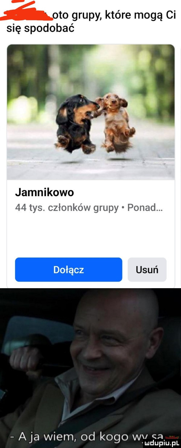 oto grupy które mogą ci się spodobać     f abs jamnikowo    tys. członków grupy ponad. aja wiem od kogo wv  . i u up u pl