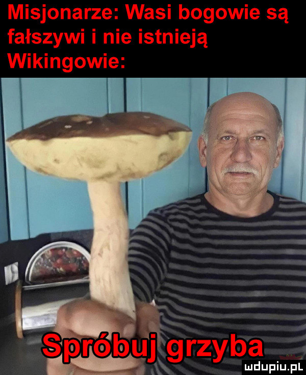 Obrazek