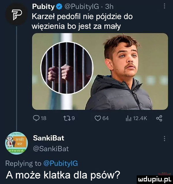 pobity. pubitylg  h karzeł pedoﬁl nie pójdzie do q      c        k m sankibat sankibat replying to pubitylg a może klatka dla psów