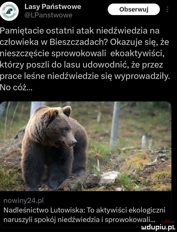 lasy państwowe lpanstwowe pamiętacie ostatni atak niedźwiedzia na człowieka w bieszczadach okazuje się że nieszczęście sprowokowali ekoaktywiści którzy poszli do lasu udowodnić że przez prace leśne niedźwiedzie się wyprowadzily. no cóż. nowiny   pl nadleśnictwo lutowiska to aktywiści ekologiczni naruszyli spokój niedźwiedzia i sprowokowali