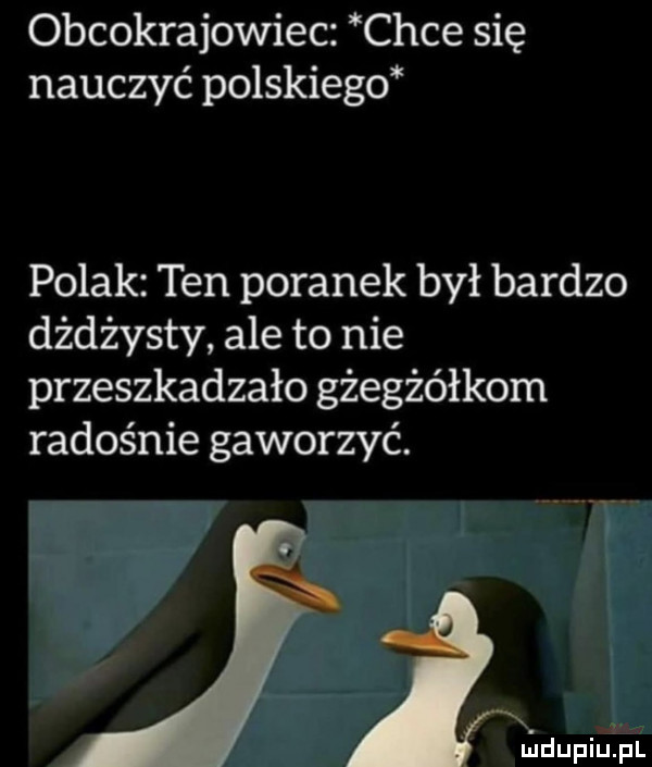 obcokrajowiec chce się nauczyć polskiego polak ten poranek był bardzo dżdżysty ale to nie przeszkadzało gżegżółkom radośnie gaworzyć. lildupqul
