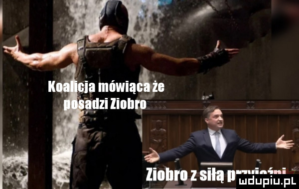 Obrazek