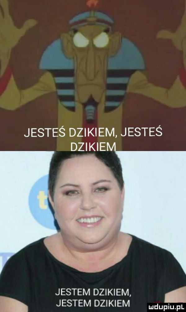 jesteś dzikiem jesteś dzikie jestem dzikiem. jestem dzikiem fal