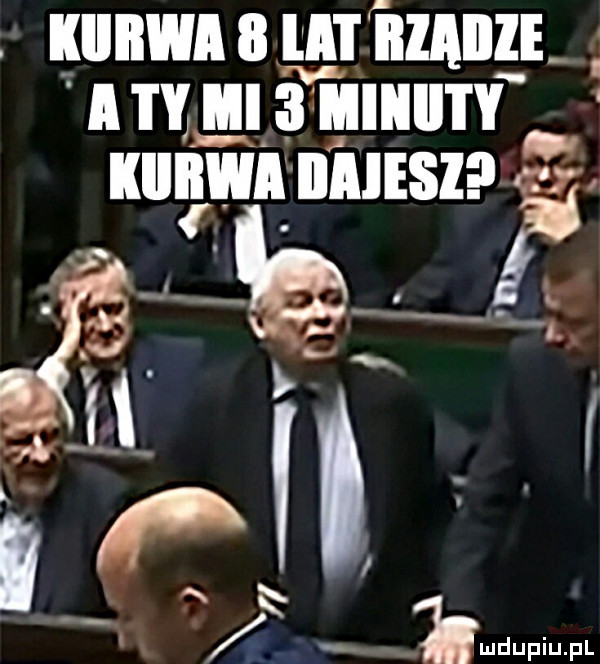 kiiiiwi   it iilaille  i iii   iiiiiii i rm kiiiiwi ililesl