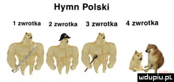zwrotka hymn polski   zw ratka   zwrotka   zwrotka