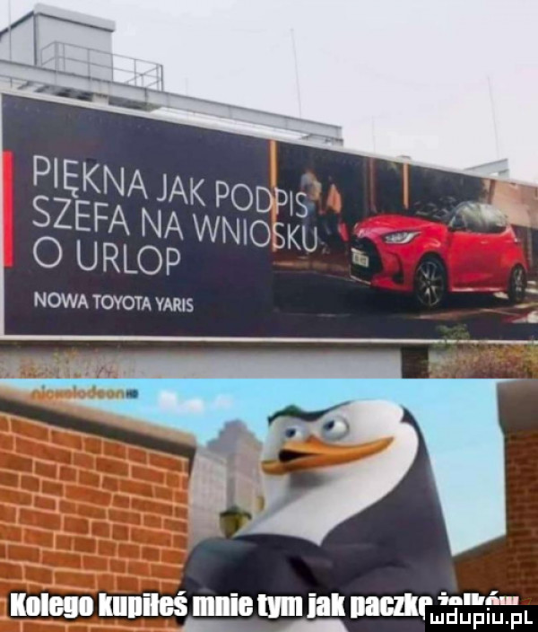 lolu. mam mnie mu jak nam