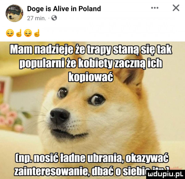 doje is alice in poland x l www o e iliiihheeiśeiiiiiieeięeś w i iiiim i