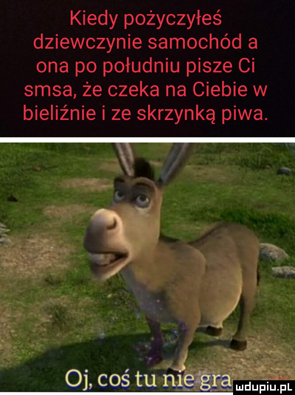 oj coś tu ni eśgra