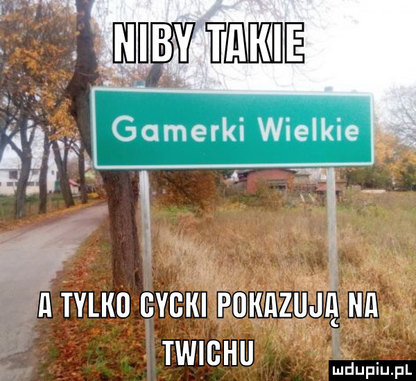 r gamerki wielkie