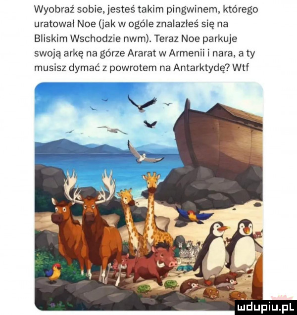 wyobraź sobie jesteś takim pingwinem którego uratował noe jak w ogóle znalazłeś się na bliskim wschodzie nam. teraz noe parkuje swoją arkę na górze ararat w armenii i nara a ty musisz dymać z powrotem na antarktydę wtf