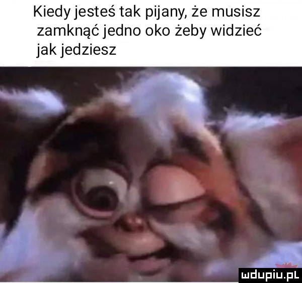 kiedyjesteś tak pijany że musisz zamknąć jedno oko żeby widzieć jak jedziesz ludupivupl