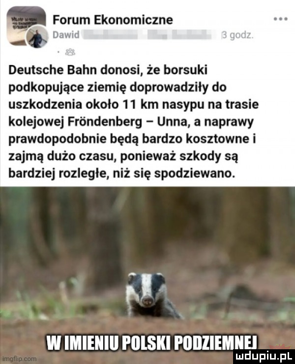 forum ekonomiczne dg diw d deutsche baon donosi że borsuki podkopujące ziemię doprowadziły do uszkodzenia około    km nasypu na trasie kolejowej frondenberg ufna a naprawy prawdopodobnie będą bardzo kosztowne i zajmą dużo czasu ponieważ szkody są bardziej rozległe niż się spodziewano. abakankami. h w imieniii i illski i llllliemilel lu dupiuhpl