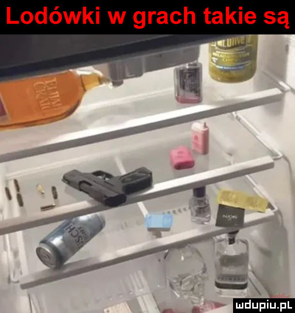 lodówki w grach takie są
