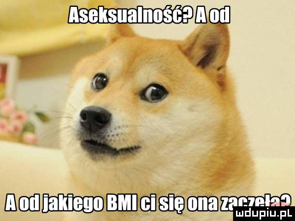 ma r. abakankami iv. o o s ł a mam mn