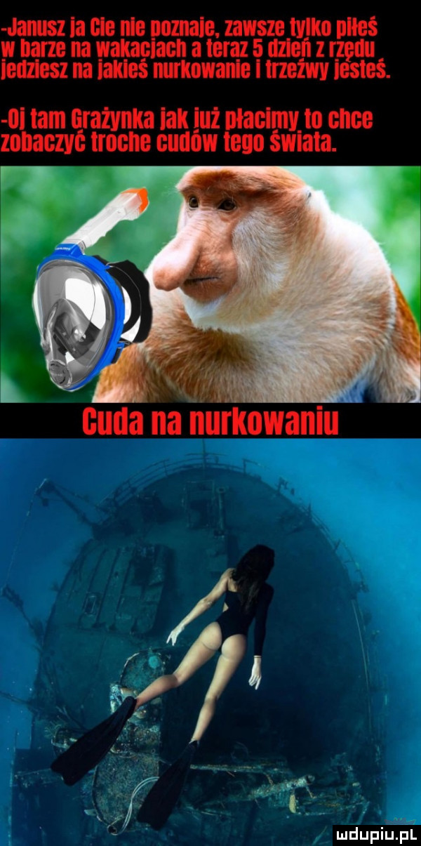 iiiż to obce me i n m o k pl u n a n a u u c