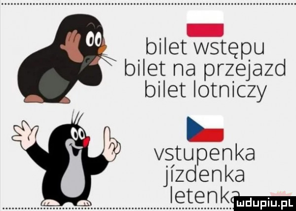 bilet wstępu bilet na przejazd bilet lotniczy n vstupenka jizdenka letenkmm