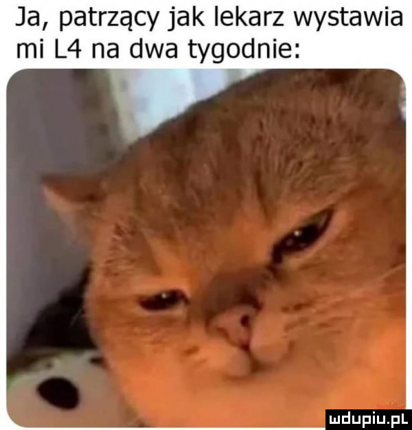 ja patrzący jak lekarz wystawia mi l  na dwa tygodnie