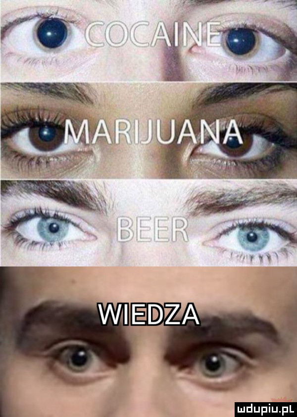 Obrazek