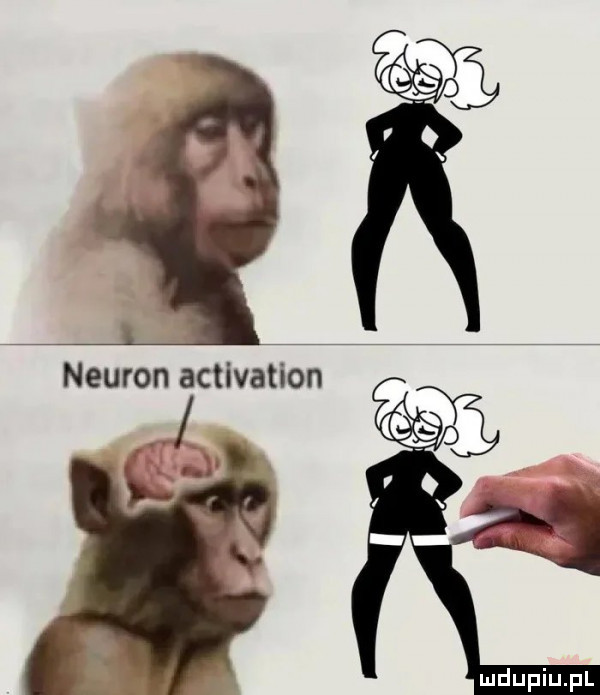 neuron activation