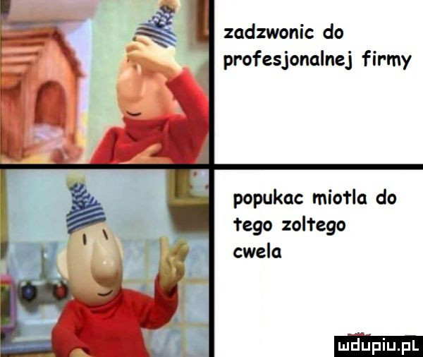 zadzwonic do profesjonalnej firmy popukoc miała do łygo zolfego cwela