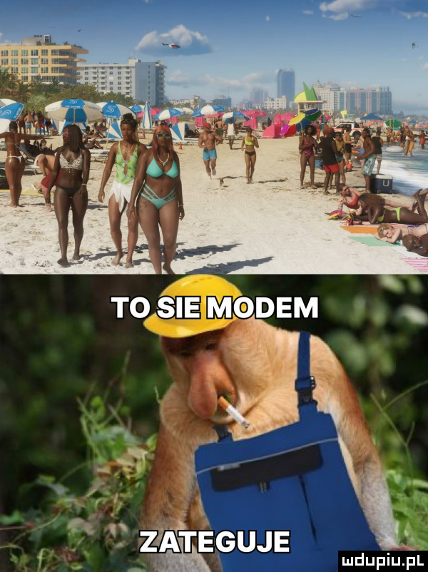 zaitieguje