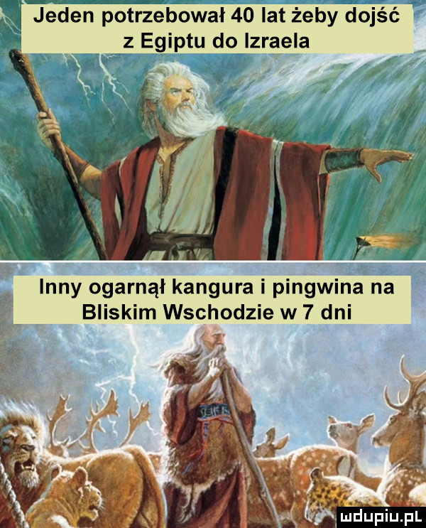 jeden potrzebował    lat żeby dojść z egiptu do lzraela inny ogarnął kangura i pingwina na bliskim wschodzie w   dni