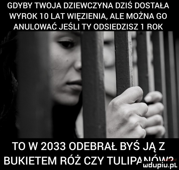 gdyby twoja dziewczyna dziś dostała wyrok    lat wiezienia ale można go anulowaó jeśli ty odsiedzisz rok w to w      odebrał byś ją z bukietem róż czy tulipabgóngęl