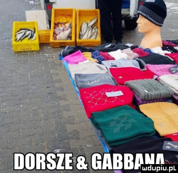 Obrazek